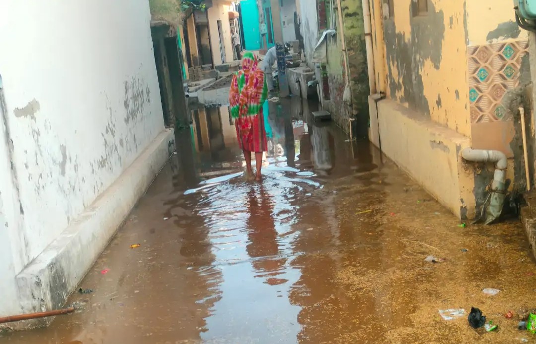 पानीपत के गांव नौल्था की गलियों में भरा पानी। पानीपत के गांव नौल्था की गलियों में भरा पानी।