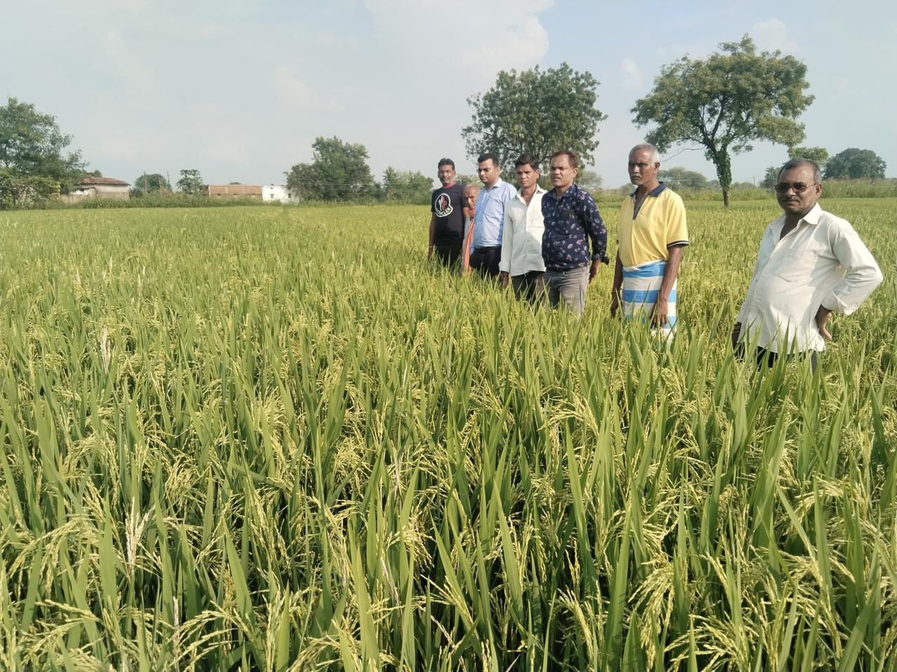 ग्राम खपरी के खेत में खड़े हुए किसान।