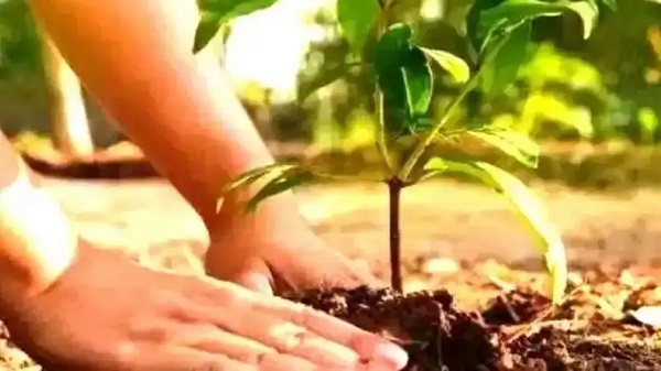 प्रतीकात्मक फोटो प्रतीकात्मक फोटो
