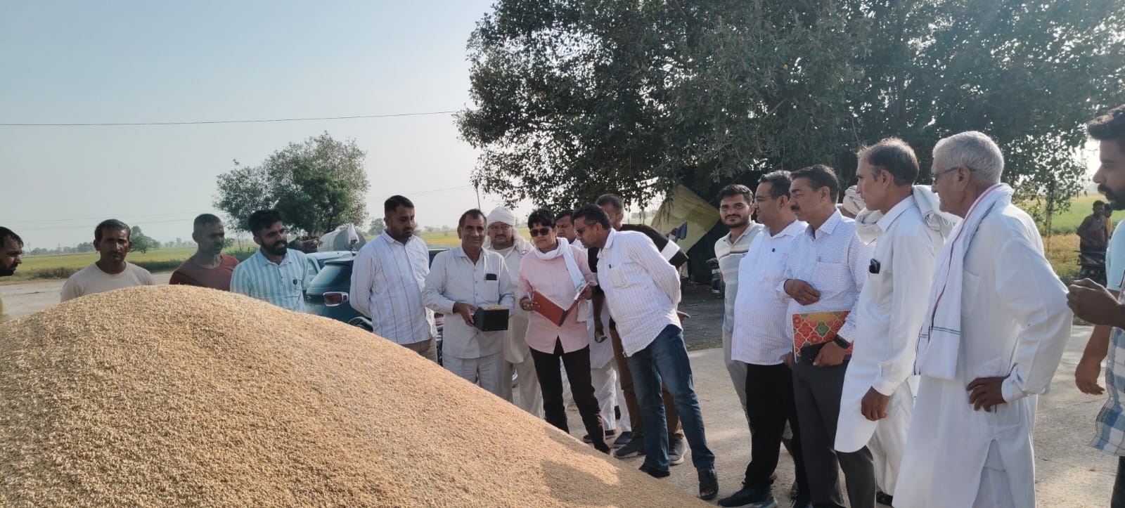 काब्रच्छा में शुरू हुई पीआर धान की खरीद के दौरान मीटर से नमी की जांच करते हुए। काब्रच्छा में शुरू हुई पीआर धान की खरीद के दौरान मीटर से नमी की जांच करते हुए।