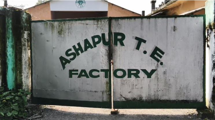 सिलीगुड़ी में चाय बागान बंद