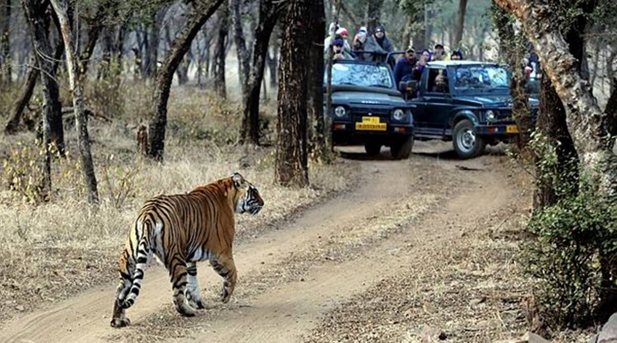 रणथंभाैर।