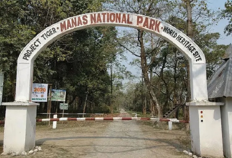 राष्ट्रीय उद्यान मानस का फाइल फोटो राष्ट्रीय उद्यान मानस का फाइल फोटो