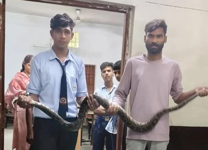 स्कूल में छात्रा के बेंच के नीचे बैठा था 8 फीट का विशालकाय अजगर