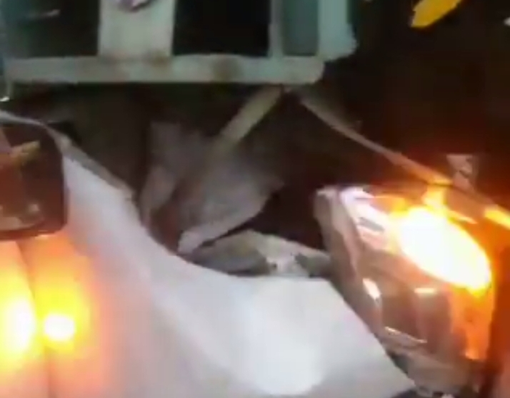 ट्रक में घुसी कार (वीडियो से ली गई फोटो) ट्रक में घुसी कार (वीडियो से ली गई फोटो)