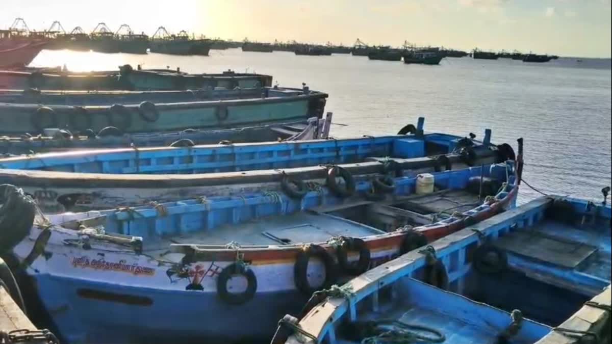'तमिल मछुआरों को रिहा किया जाए' - रामेश्वरम के मछुआरे हड़ताल पर!