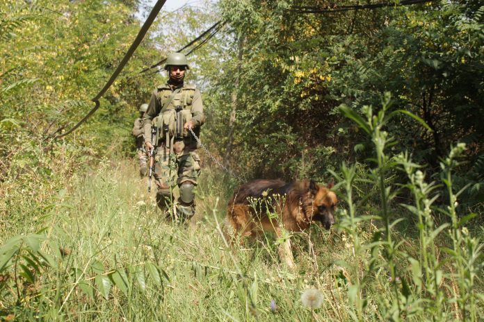सांबा में अंतरराष्ट्रीय सीमा से लगे अग्रिम गांवों के ऊपर देखे गए दो पाकिस्तानी ड्रोन, तलाशी अभियान शुरू सांबा में अंतरराष्ट्रीय सीमा से लगे अग्रिम गांवों के ऊपर देखे गए दो पाकिस्तानी ड्रोन, तलाशी अभियान शुरू