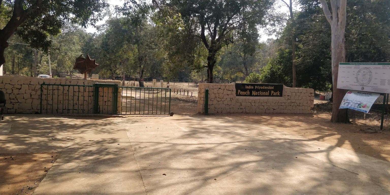 Seoni: The road passing through Karmajhiri Sanctuary has been reopened. Seoni: The road passing through Karmajhiri Sanctuary has been reopened.