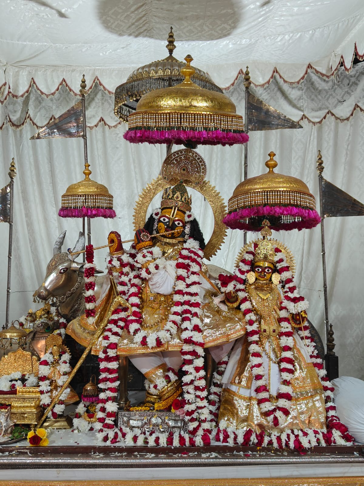 दीपावली पर भारी भीड़ को देखते हुए गोविंद देव मंदिर में किया गया झांकियों के समय में बदलाव दीपावली पर भारी भीड़ को देखते हुए गोविंद देव मंदिर में किया गया झांकियों के समय में बदलाव