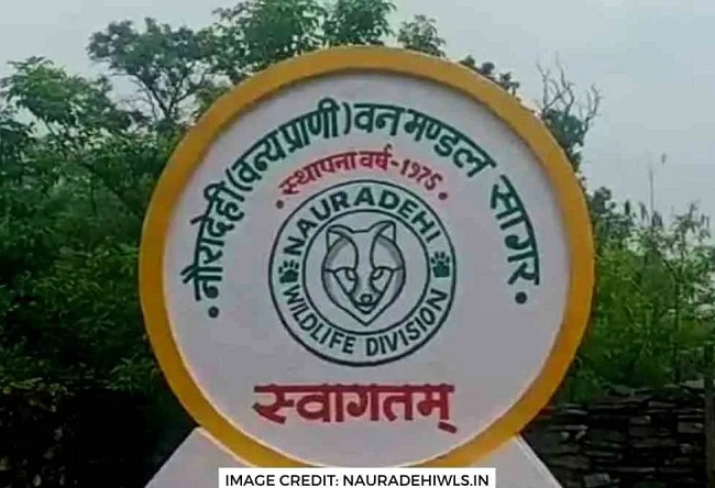 वीरांगना दुर्गावती टाइगर रिजर्व (फाइल फोटो) वीरांगना दुर्गावती टाइगर रिजर्व (फाइल फोटो)