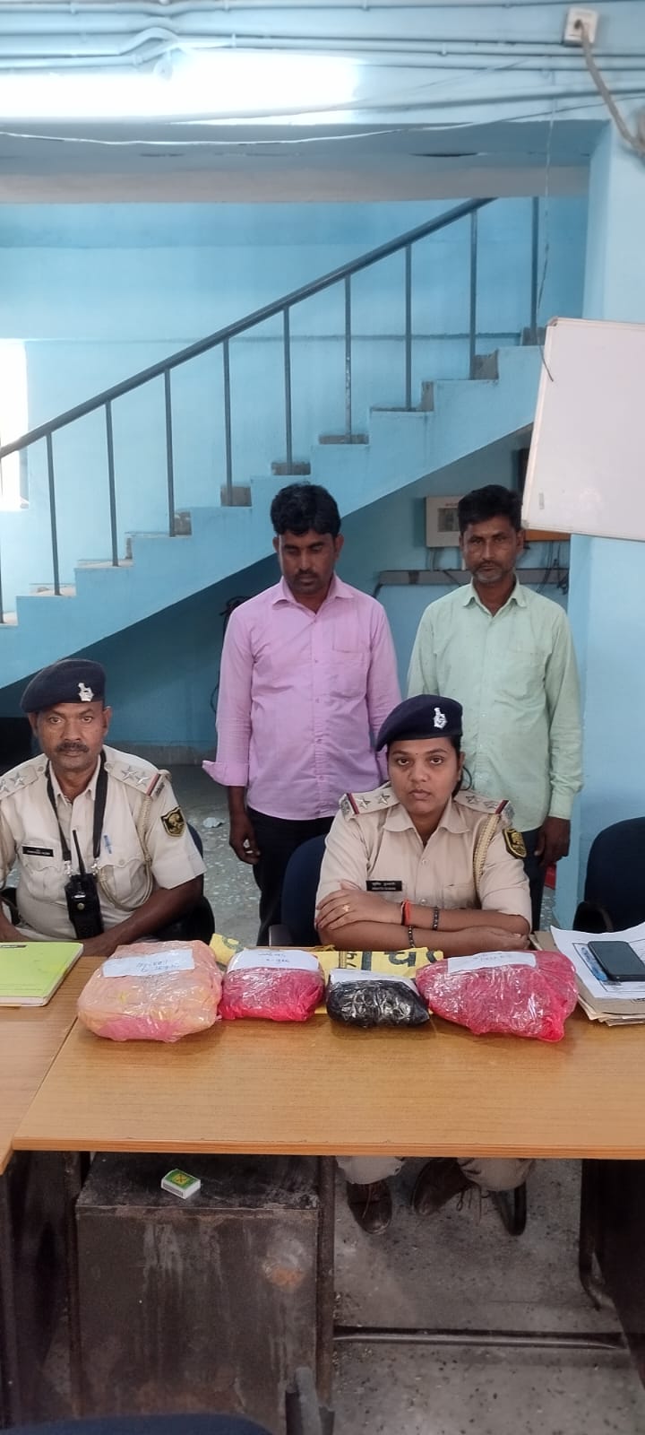 गाजा गाजा