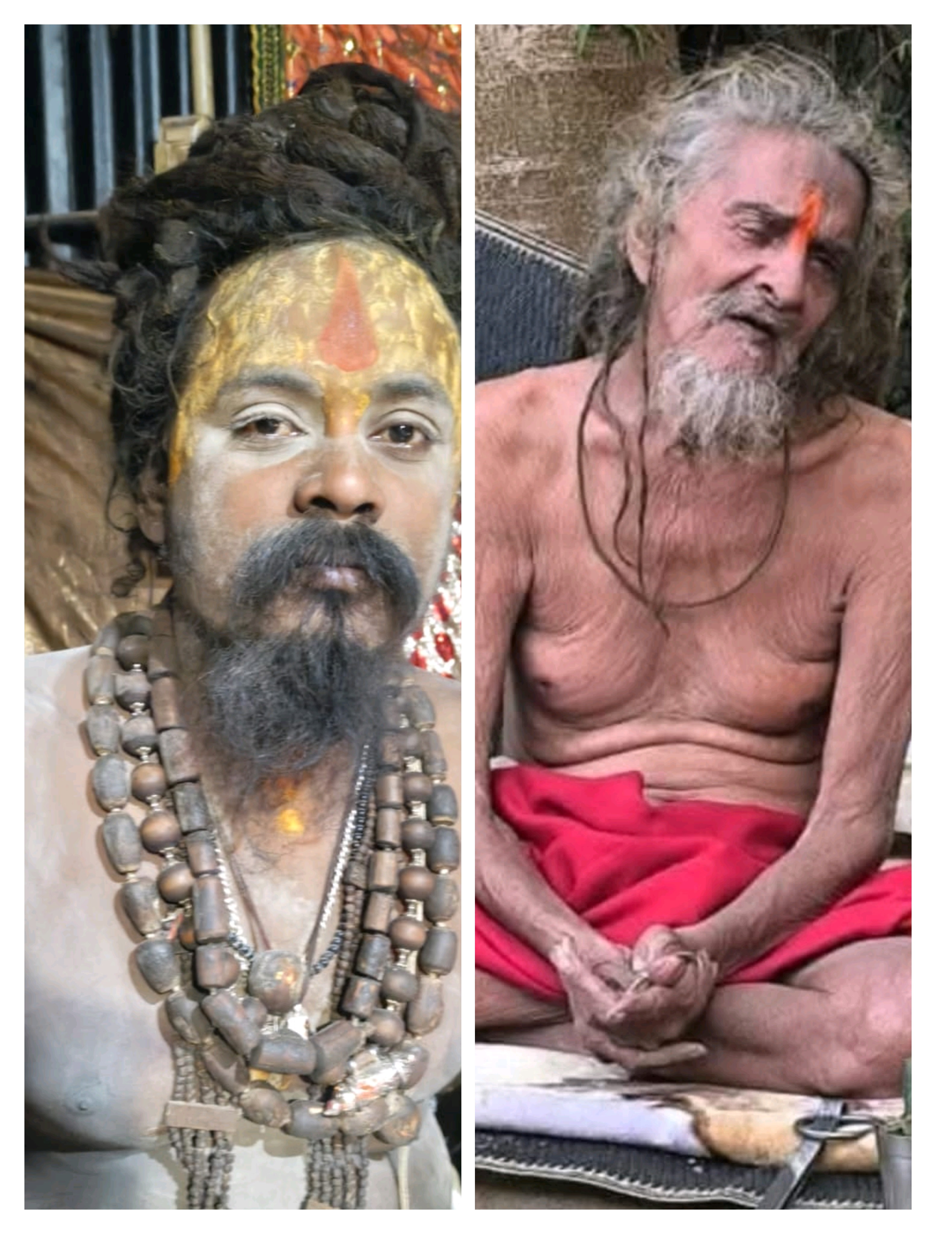 स्वामी भगवानदास जी महाराज स्वामी भगवानदास जी महाराज