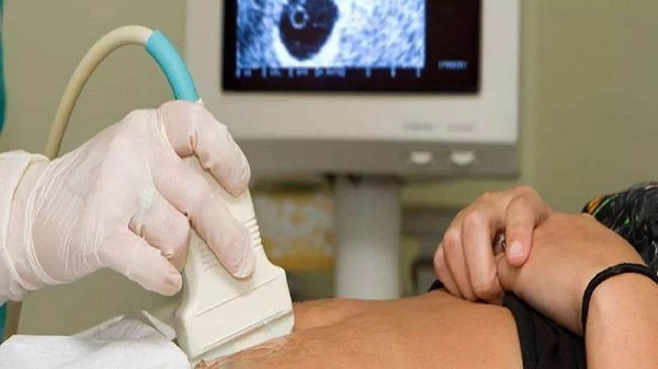 प्रतीकात्मक फोटो प्रतीकात्मक फोटो