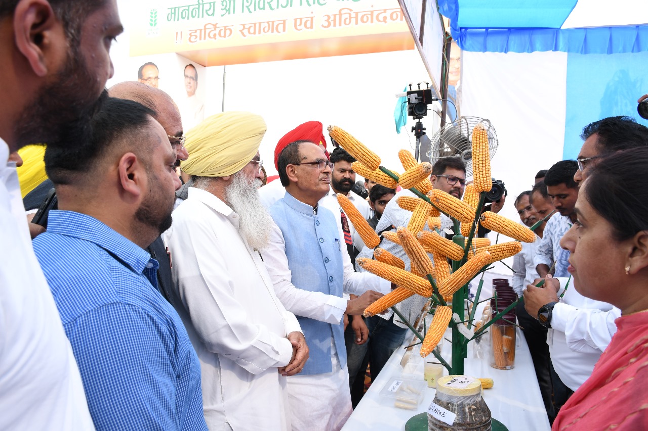केंद्रीय कृषि मंत्री शिवराज चाैहान लुधियाना में मक्का प्रदर्शनी का अवलोकन करते हुए केंद्रीय कृषि मंत्री शिवराज चाैहान लुधियाना में मक्का प्रदर्शनी का अवलोकन करते हुए