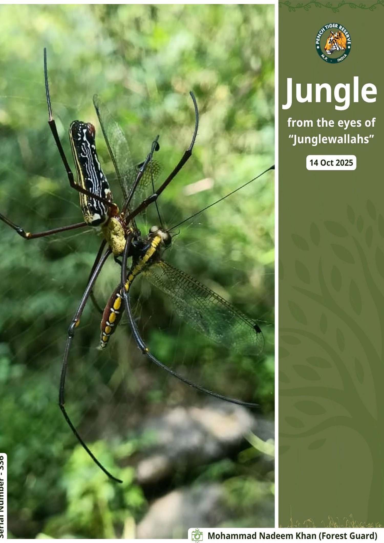 Seoni: The next poster of the series Jungle, from the perspective of the jungle dwellers, is out. Seoni: The next poster of the series Jungle, from the perspective of the jungle dwellers, is out.