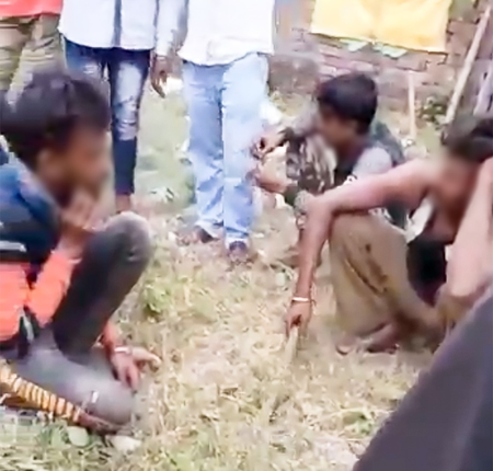 कंगारू कोर्ट कंगारू कोर्ट