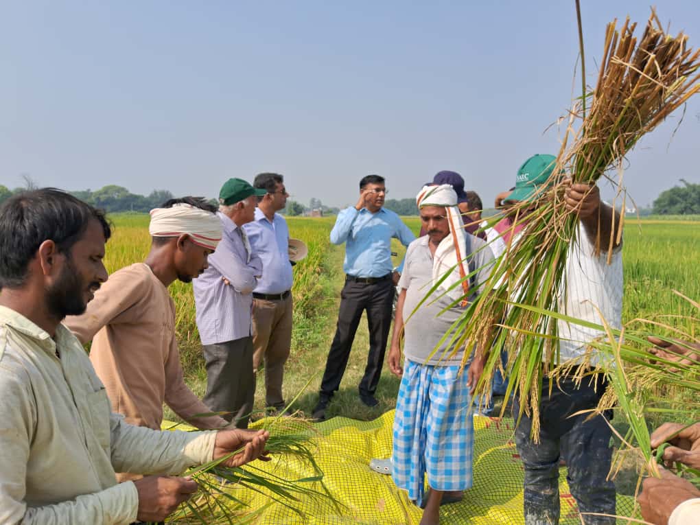 धान के खेत पर किसान और विशेषज्ञ धान के खेत पर किसान और विशेषज्ञ