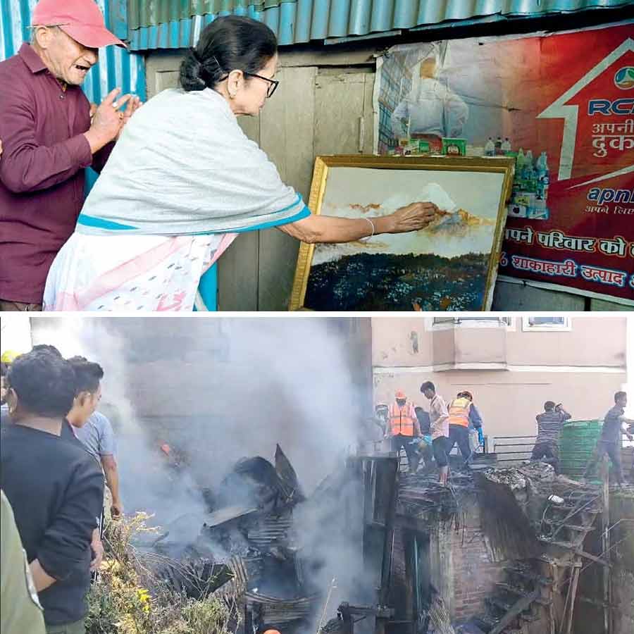 चित्र बनातीं मुख्यमंत्री ममता बनर्जी चित्र बनातीं मुख्यमंत्री ममता बनर्जी