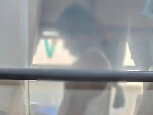 बस में मिला शव बस में मिला शव