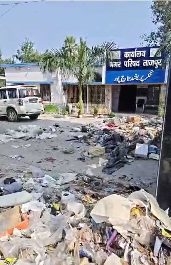 Garbage spread in city council Garbage spread in city council