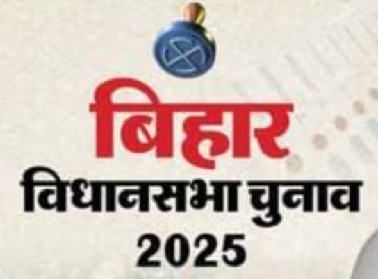 पश्चिम चंपारण ज़िला के 09 विधानसभा क्षेत्रों में 102 लोगो ने किया नामांकन, 25  नामांकन पत्र हुआ निरस्त पश्चिम चंपारण ज़िला के 09 विधानसभा क्षेत्रों में 102 लोगो ने किया नामांकन, 25  नामांकन पत्र हुआ निरस्त