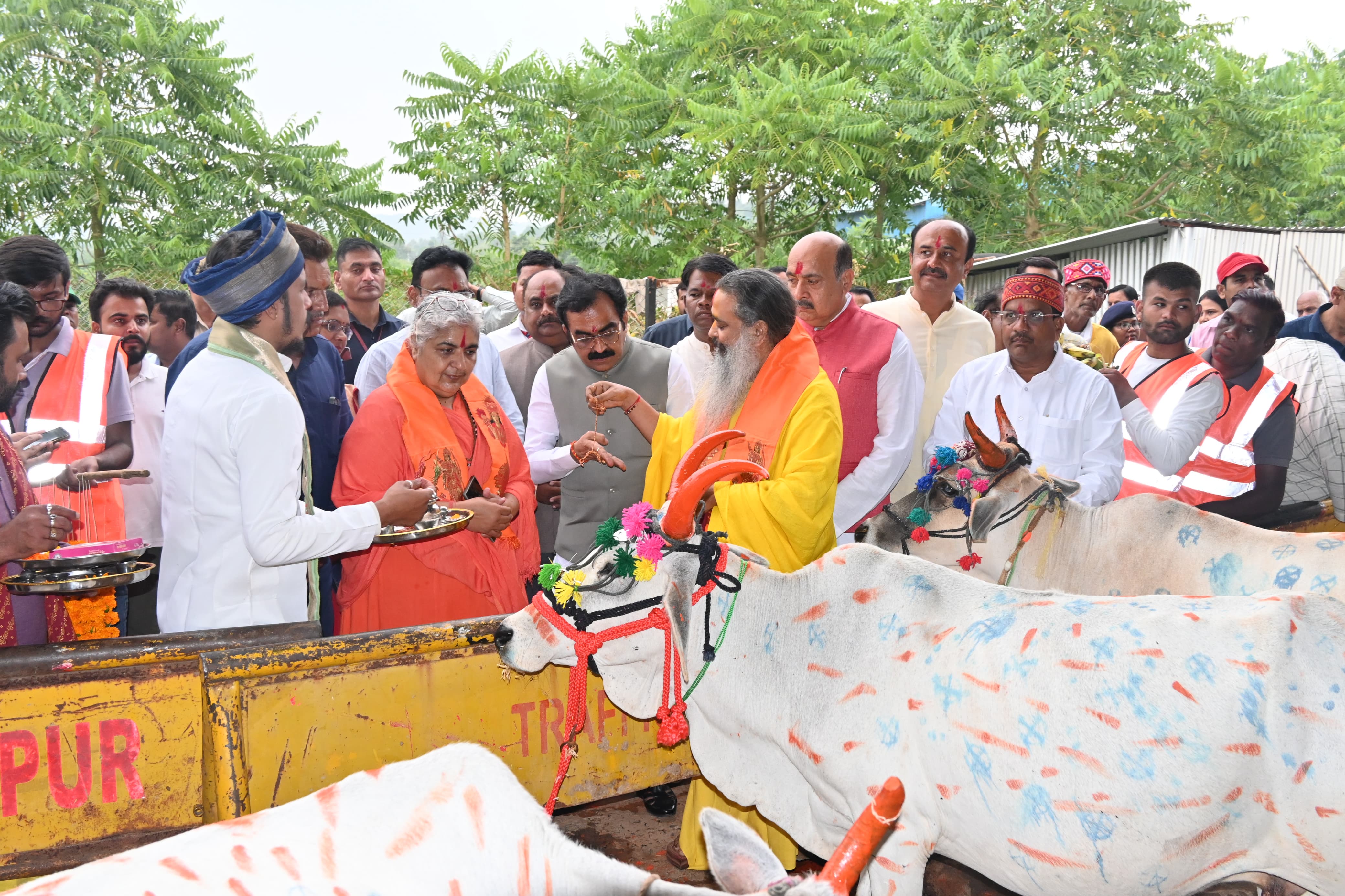 लोक निर्माण मंत्री ने उमरिया गौशाला में की भगवान गोवर्धन की पूजा लोक निर्माण मंत्री ने उमरिया गौशाला में की भगवान गोवर्धन की पूजा