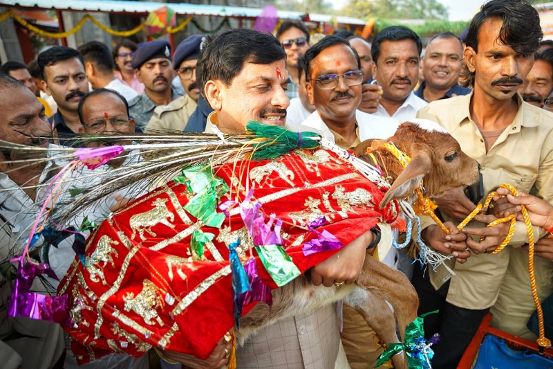 मुख्यमंत्री डॉ. मोहन यादव ने अन्नकूट के अवसर पर उज्जैन में गोवर्धन पूजा के बाद गाय और बछड़ों को दुलार किया मुख्यमंत्री डॉ. मोहन यादव ने अन्नकूट के अवसर पर उज्जैन में गोवर्धन पूजा के बाद गाय और बछड़ों को दुलार किया