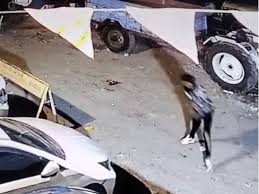इंदाैर में दिवाली की रात बदमाशों ने अपने ही दोस्त पर चाकू से किया हमला इंदाैर में दिवाली की रात बदमाशों ने अपने ही दोस्त पर चाकू से किया हमला