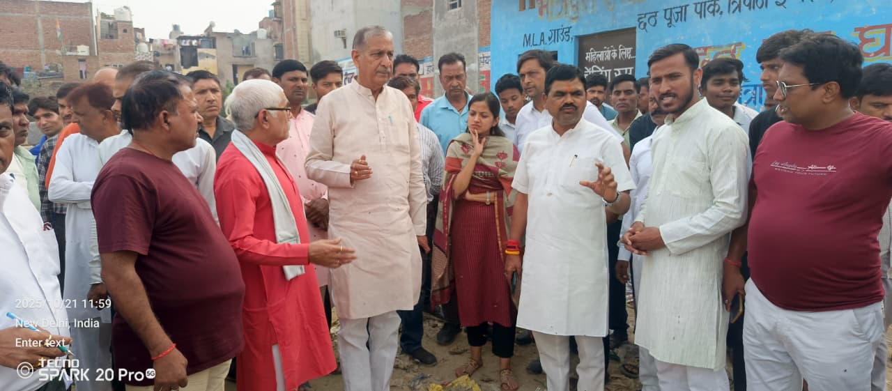 उप महापौर निरीक्षण करते हुए।