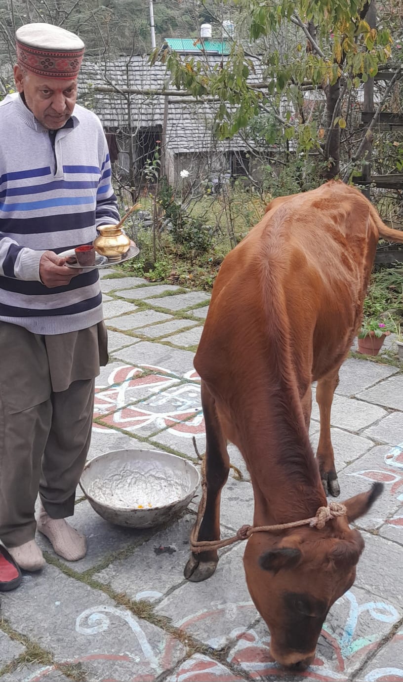 गोवर्धन पूजा करते हुए। गोवर्धन पूजा करते हुए।