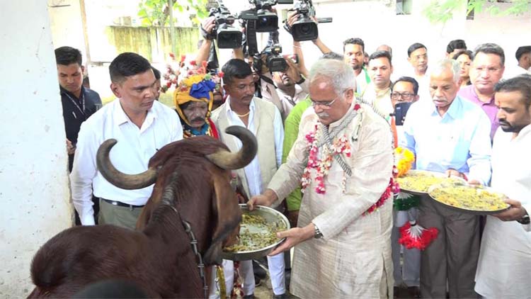 पूर्व मुख्यमंत्री भूपेश के निवास में गाेवर्धन पूजा कार्यक्रम का आयोजन पूर्व मुख्यमंत्री भूपेश के निवास में गाेवर्धन पूजा कार्यक्रम का आयोजन