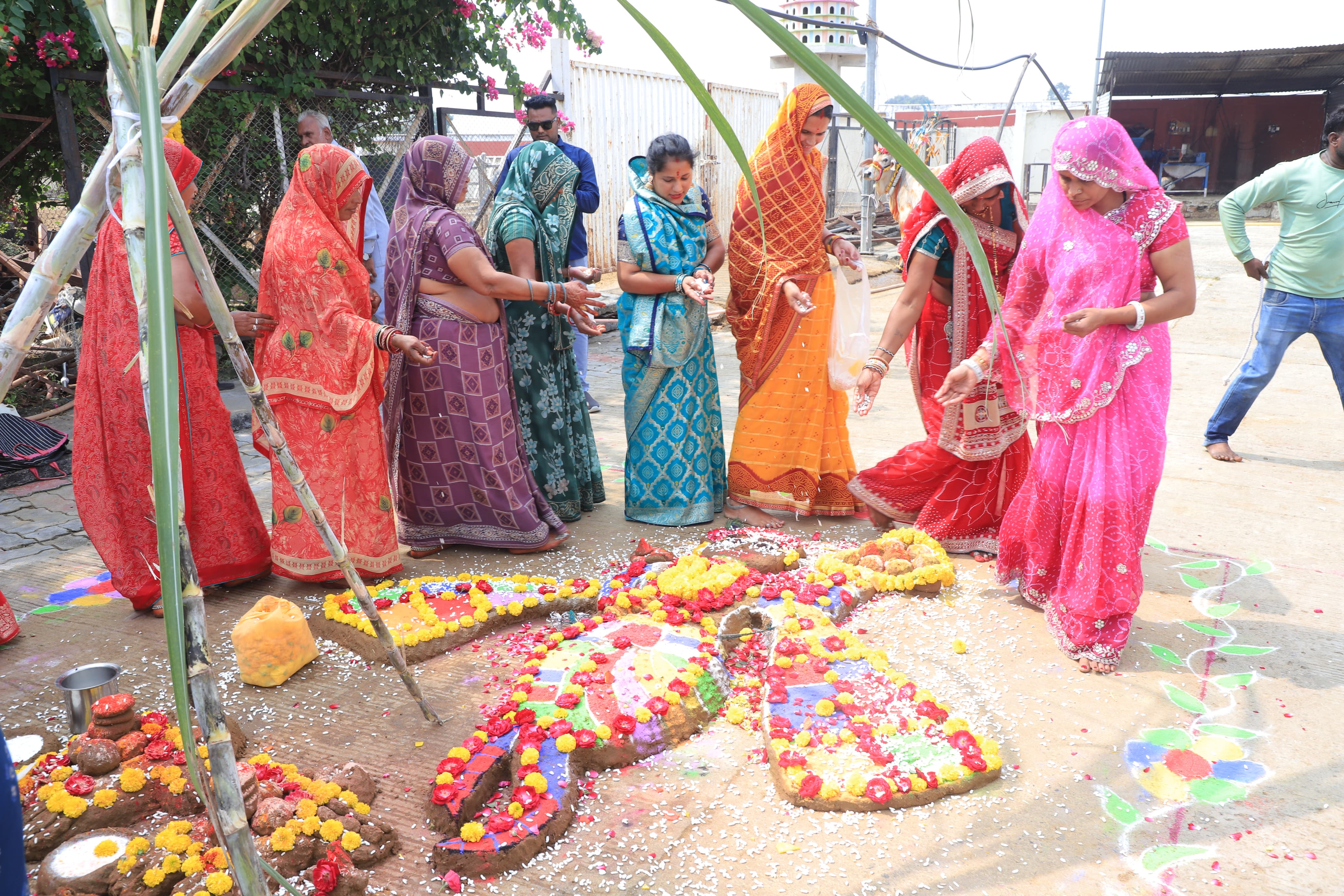 महाकालेश्वर मंदिर की गौशाला में हुआ गोवर्धन पूजन महाकालेश्वर मंदिर की गौशाला में हुआ गोवर्धन पूजन