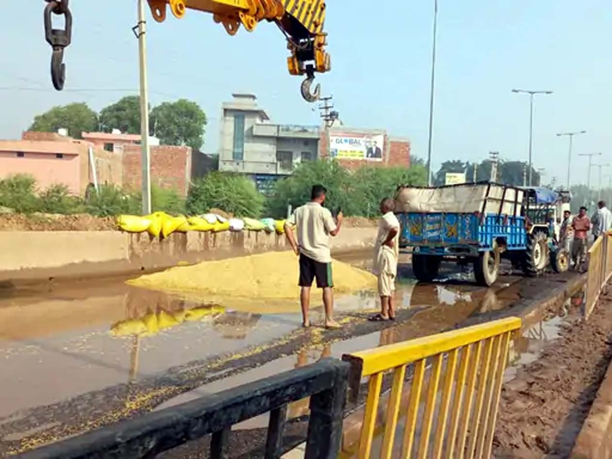 पानी में बिखरा पड़ा किसान का धान। पानी में बिखरा पड़ा किसान का धान।