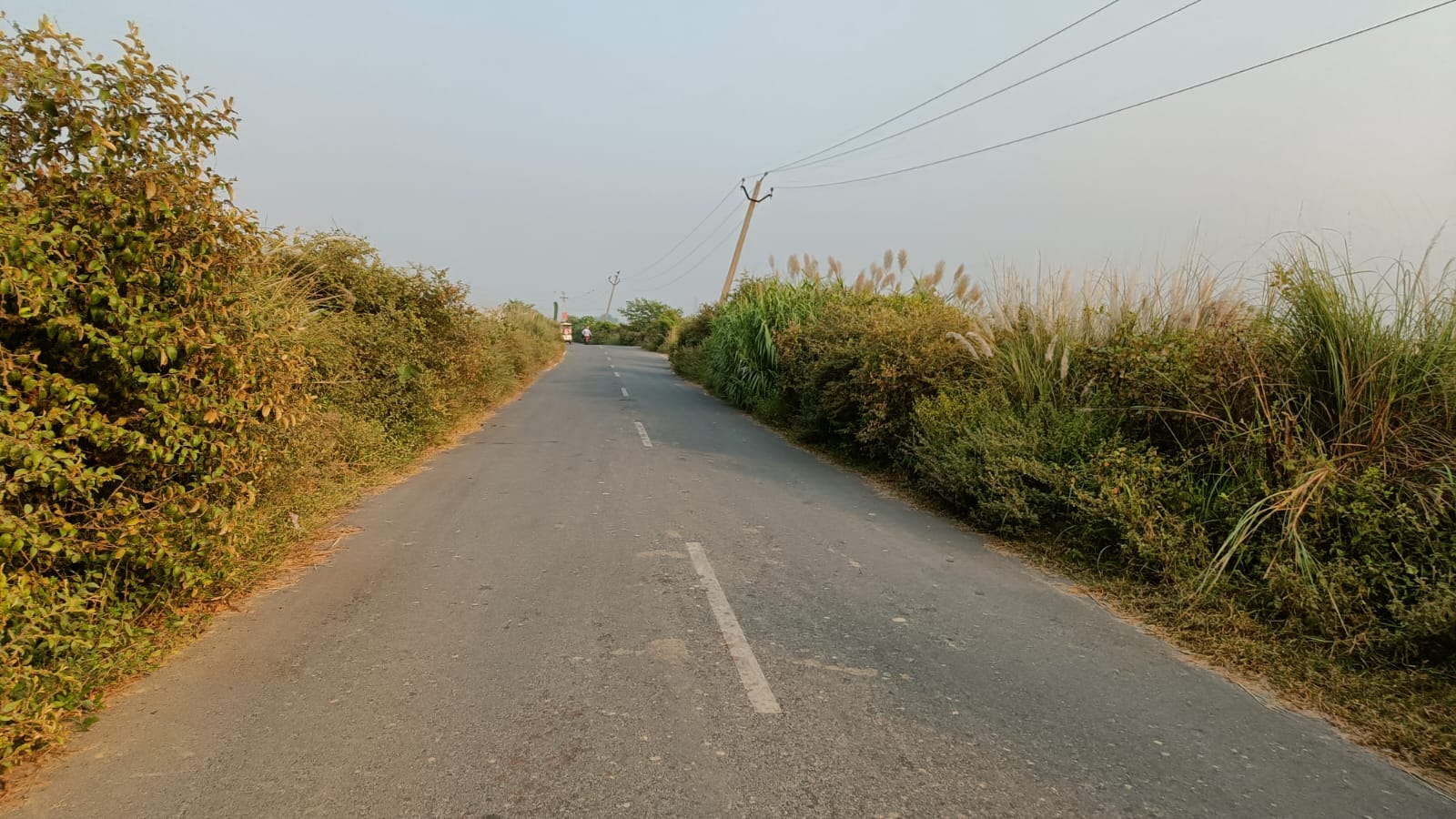 *मोहरीपुर–सिहोरवा मार्ग बना हादसे का जाल, सड़क किनारे कांटेदार झाड़ से कभी भी हो सकता बड़ा हादसा — जनप्रतिनिधियों की लापरवाही उजागर* *मोहरीपुर–सिहोरवा मार्ग बना हादसे का जाल, सड़क किनारे कांटेदार झाड़ से कभी भी हो सकता बड़ा हादसा — जनप्रतिनिधियों की लापरवाही उजागर*