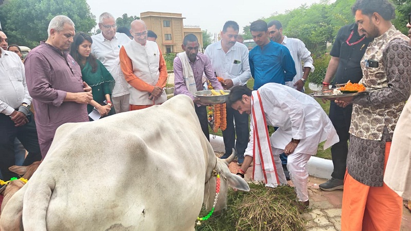 बसामन मामा गौवंश वन्य विहार व लक्ष्मणबाग में किया गोवर्धन एवं गौपूजन बसामन मामा गौवंश वन्य विहार व लक्ष्मणबाग में किया गोवर्धन एवं गौपूजन
