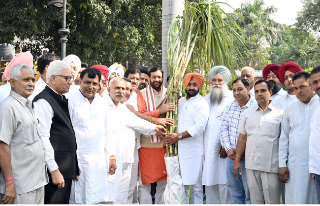 हरियाणा के किसान मुख्यमंत्री नायब सैनी को गन्ना भेंट करते हुए हरियाणा के किसान मुख्यमंत्री नायब सैनी को गन्ना भेंट करते हुए