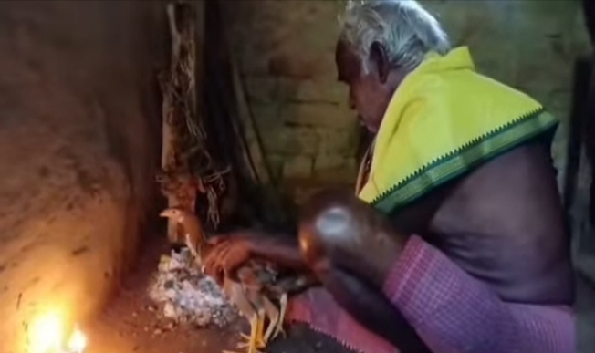 झाड़ग्राम में पारंपरिक ‘बांधना पर्व’ झाड़ग्राम में पारंपरिक ‘बांधना पर्व’