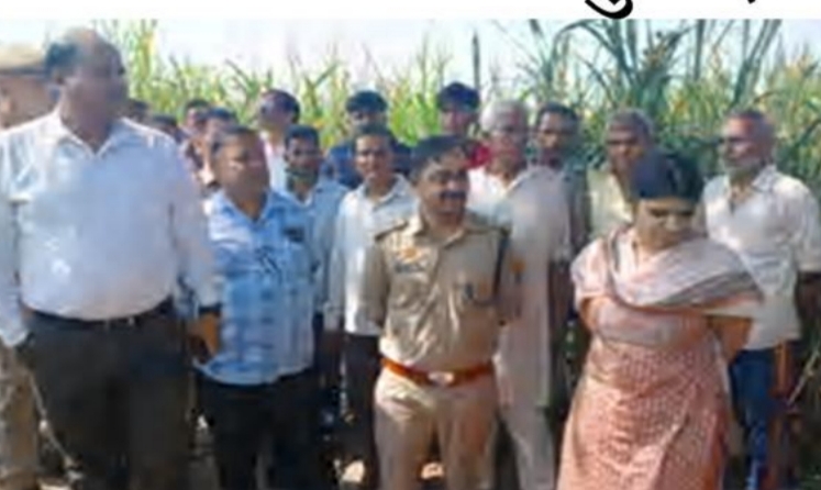 एसडीएम धामपुर, तहसीलदार टीम के साथ