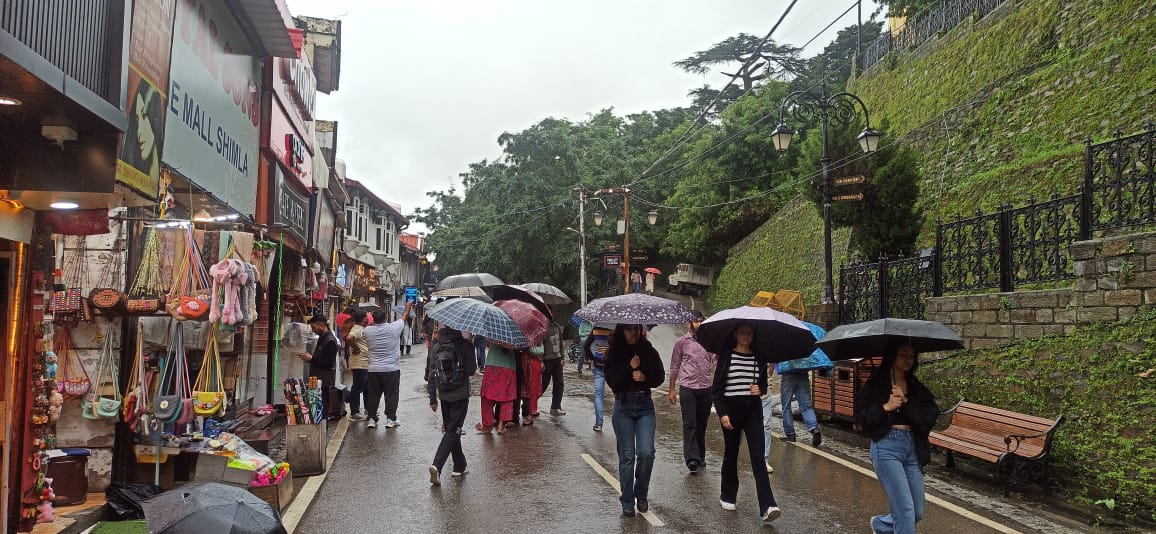 शिमला में वर्षा शिमला में वर्षा