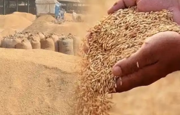 प्रतीकात्मक फोटो प्रतीकात्मक फोटो