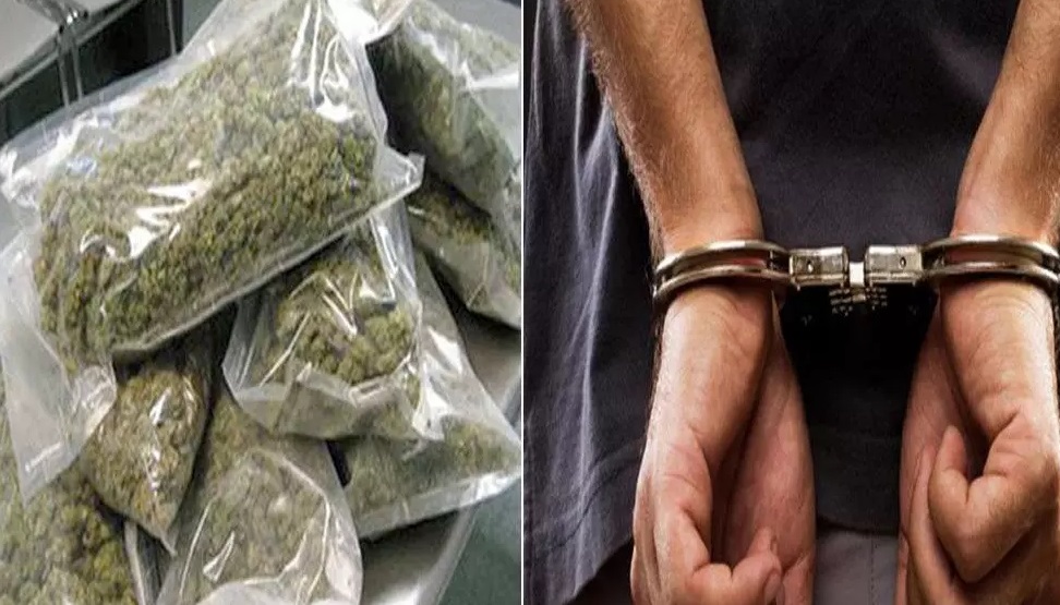 गांजा - फाइल फोटो