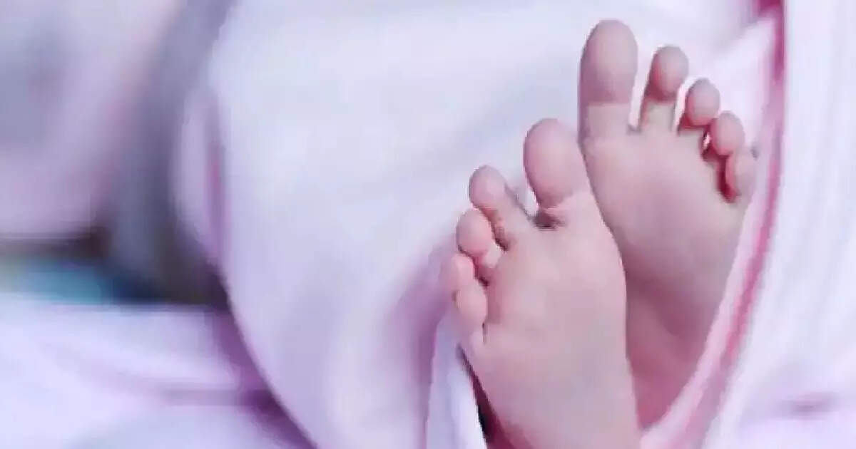 नाले में मिला नवजात बच्ची का शव, पोस्टमार्टम रिपोर्ट में मौत का कारण स्पष्ट नहीं नाले में मिला नवजात बच्ची का शव, पोस्टमार्टम रिपोर्ट में मौत का कारण स्पष्ट नहीं