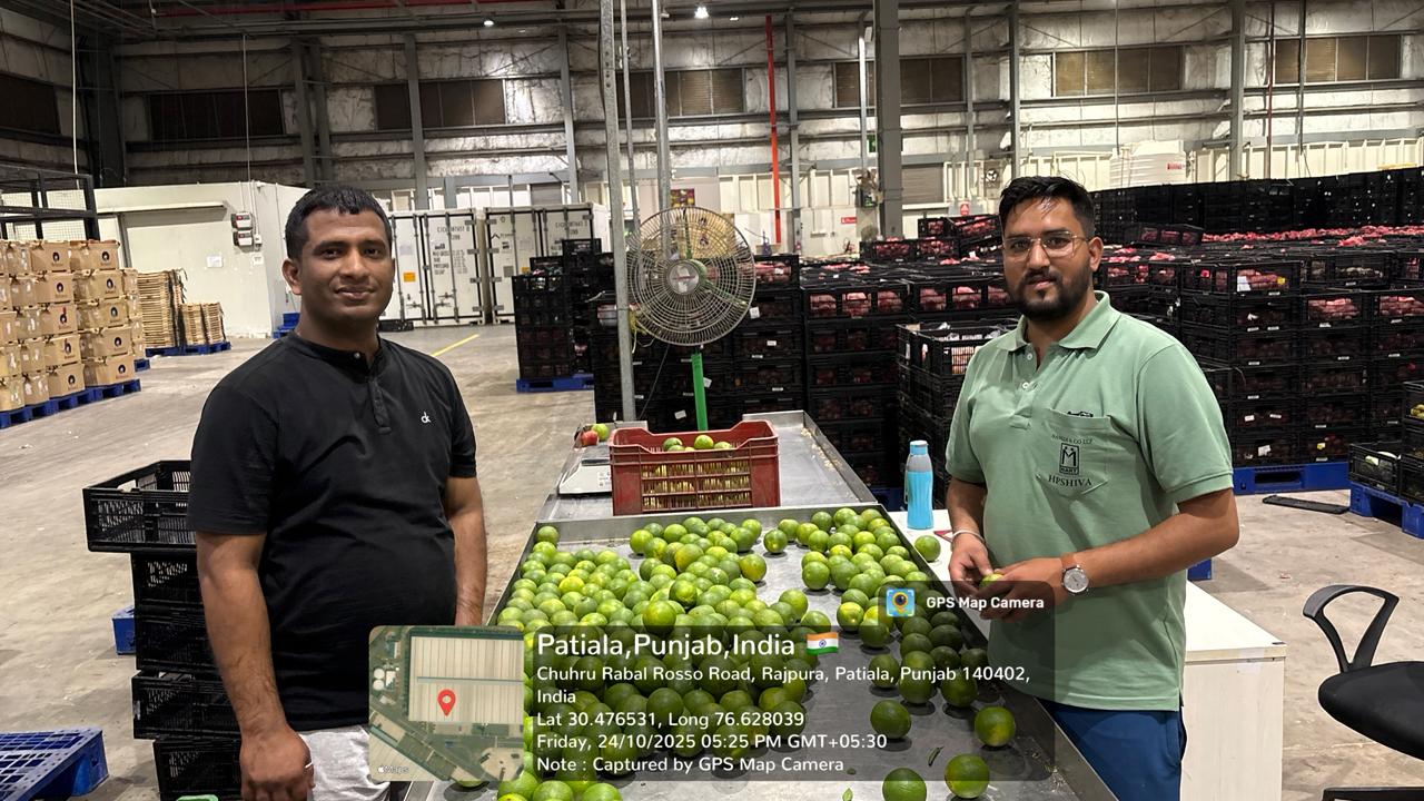 मौसम्मी की तीसरी खेप पहुंची रिलायंस कंपनी के राजपुरा पंजाब। मौसम्मी की तीसरी खेप पहुंची रिलायंस कंपनी के राजपुरा पंजाब।