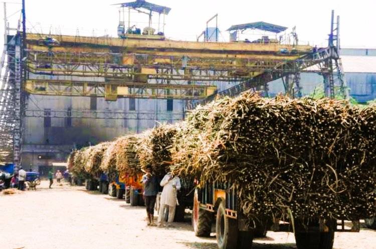 मुरादाबाद जनपद की दो और बिजनौर की एक चीनी मिल 10  नवंबर तक शुरू हो जाएंगी मुरादाबाद जनपद की दो और बिजनौर की एक चीनी मिल 10  नवंबर तक शुरू हो जाएंगी