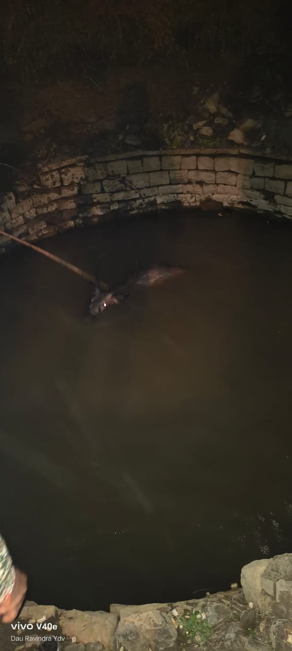 अशोकनगर: कुयें में गिरे काले हिरण को पुलिस ने सुरक्षित निकाला