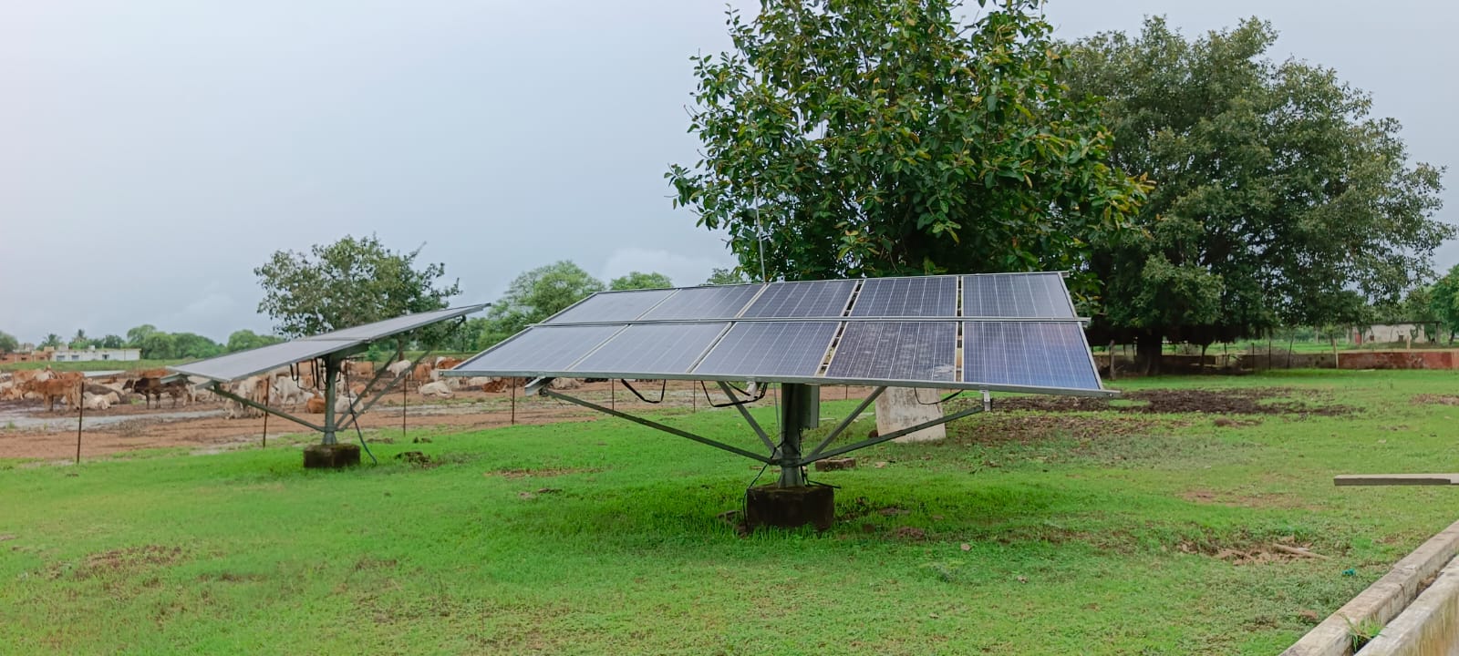 गांव के खेत में लगा सोलर पैनल। गांव के खेत में लगा सोलर पैनल।