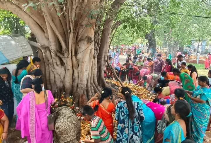 नागपंचमी उत्सव नागपंचमी उत्सव