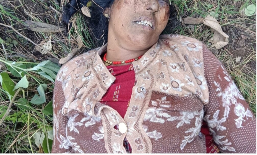 घास काटते समय महिला की खाई में गिरने से दर्दनाक मौत घास काटते समय महिला की खाई में गिरने से दर्दनाक मौत