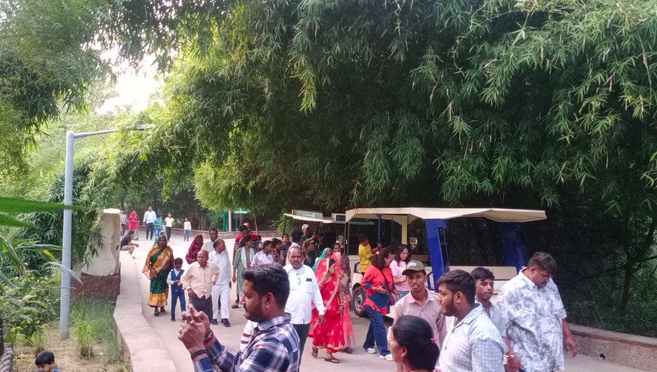 नाहरगढ़ जैविक उद्यान में टाइगर सफारी बनी आकर्षण का केंद्र नाहरगढ़ जैविक उद्यान में टाइगर सफारी बनी आकर्षण का केंद्र