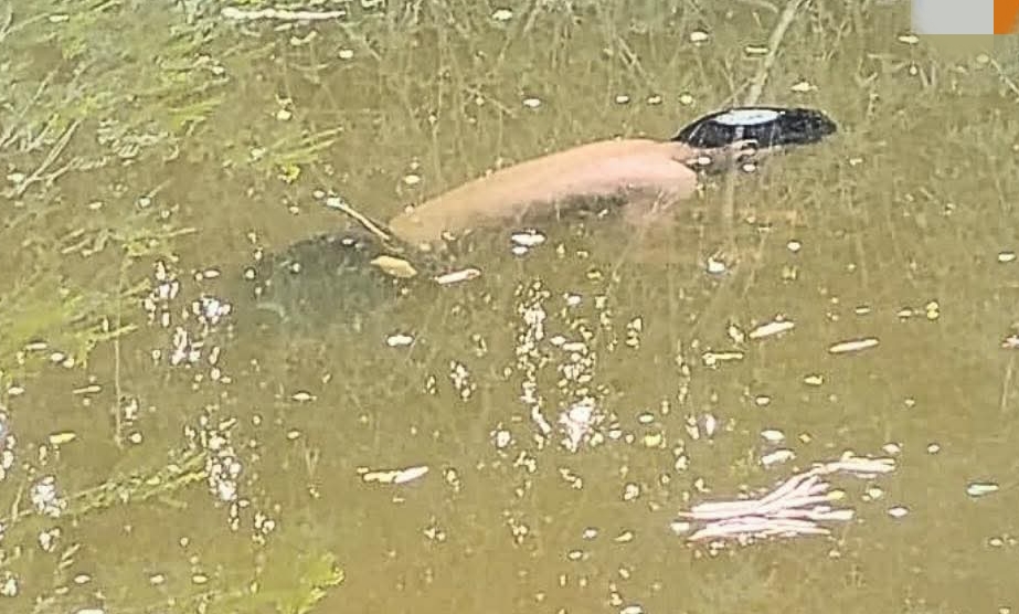 कुसुमपुर शव मिला